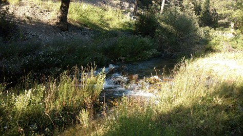 IMG_20160814_185904508