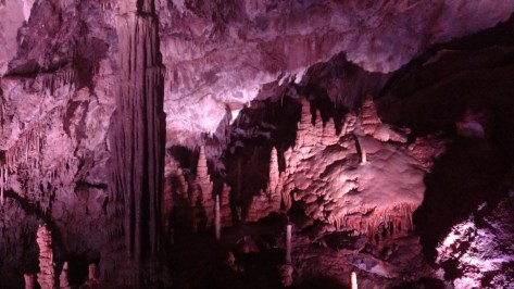 IMG_20160816_155952556