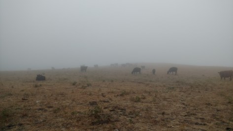 IMG_20160819_100534408