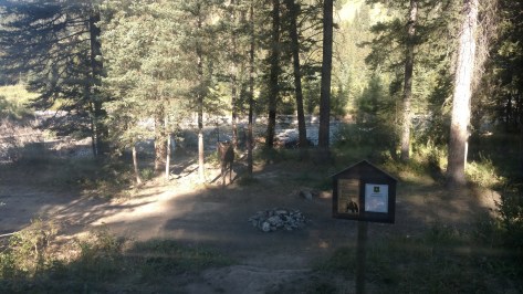 IMG_20160823_091111566