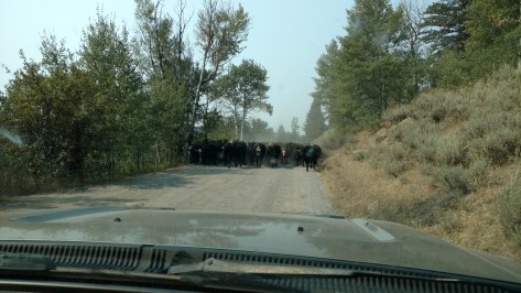 IMG_20160824_111602765