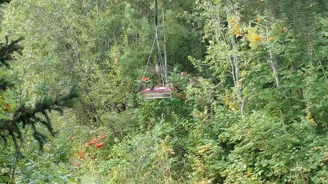 IMG_20160825_070705634