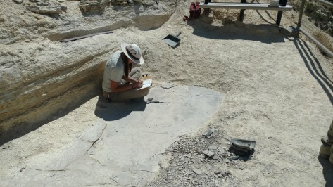 IMG_20160825_125911520