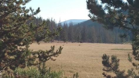 IMG_20160827_083708734