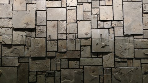 IMG_20160831_112740012