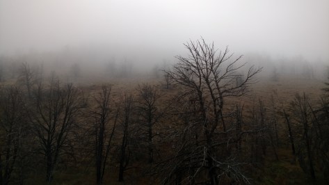 img_20160913_102115136