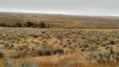 img_20160913_105932886_hdr