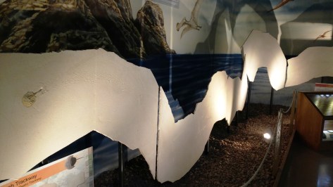 img_20160915_112235589