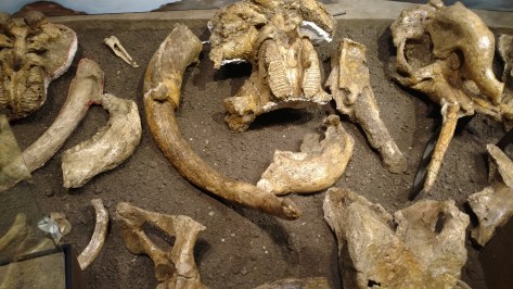 img_20160916_142835293