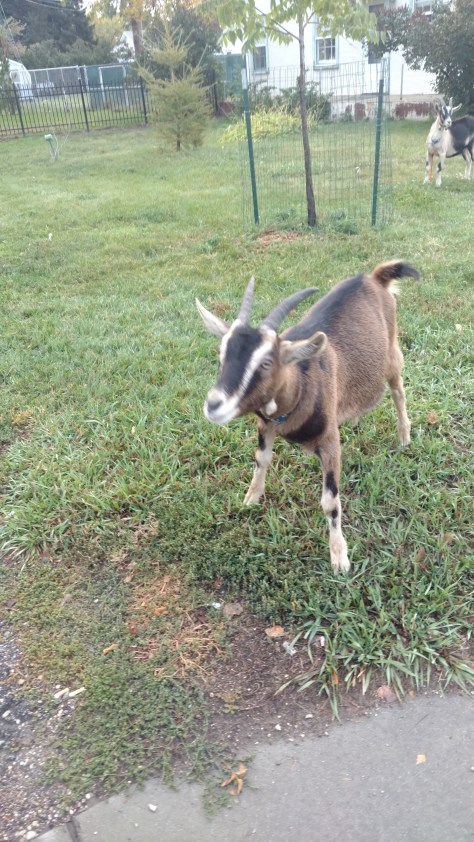 img_20160924_182254247