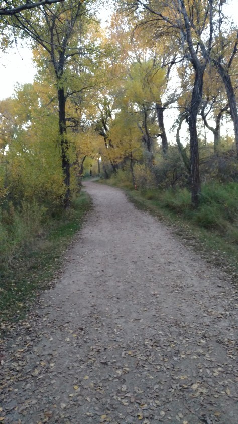 img_20160928_185801632