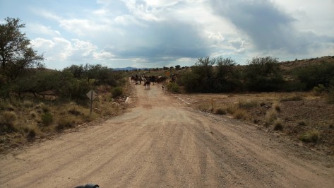 img_20161008_141218295